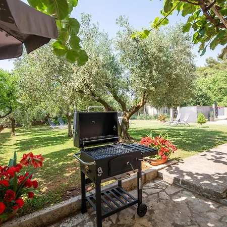 Zara Apartament