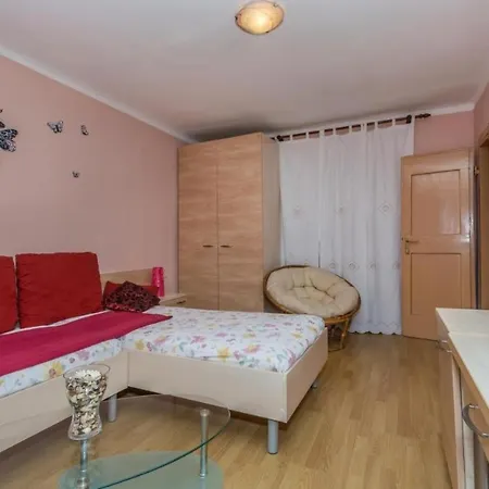 Zara Apartment Visnjan